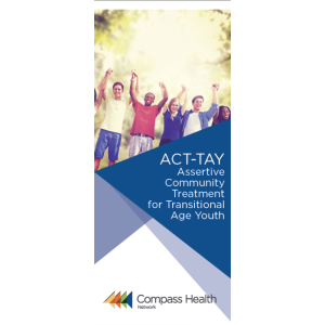 ACT-TAY Brochure